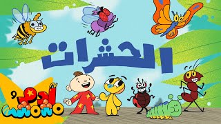 Adam Wa Mishmish  Insects Kids Songs  أغاني أطفال آدم ومشمش  الحشرات [upl. by Allard]