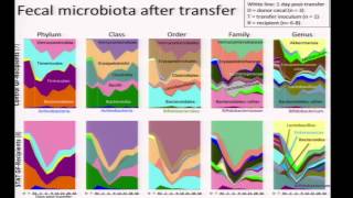 Microbiome and Obesity  Martin Blaser [upl. by Zolner]