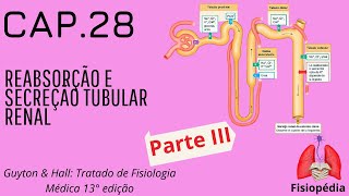 Cap28 Reabsorção e Secreção Tubular Renal PARTE III [upl. by Menashem603]