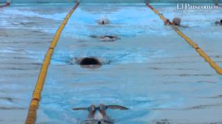 Manual Natación con Aletas Fabio Delgado [upl. by Sucul]