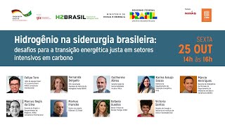 Hidrogênio na Siderurgia Brasileira desafios para a transição energética [upl. by Tudela901]