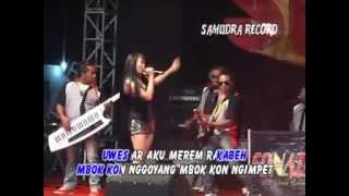 Nisa Farisa  Wes Mbok Rasakne By Gank MABES TANJUNG [upl. by Babs]