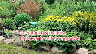 20 gatunków kwiatów które warto mieć w ogrodzie [upl. by Martinsen]