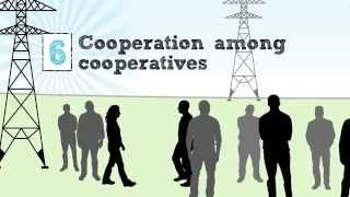 The Cooperative Business Model — The Seven Cooperative Principles [upl. by Leach]