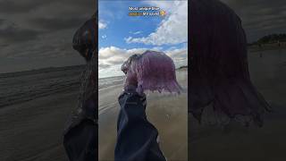 Rescue Mission Saved rare venomous Blue Jellyfish 🥺 [upl. by Piggy]