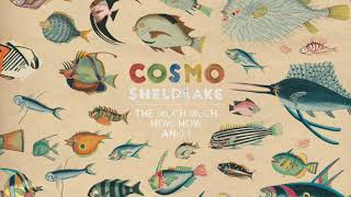 Cosmo Sheldrake  Birthday Suit [upl. by Hamnet]