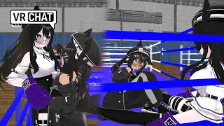 Dream Domination Against Pro Boxer VRchat BOXING [upl. by Adnuahs]