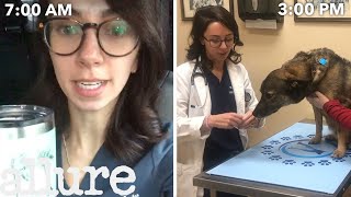 A Veterinarians Entire Routine from Waking Up to Treating Pets  Allure [upl. by Consalve]