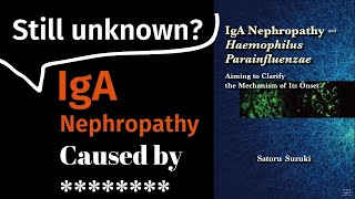 Incurable Disease IgA nephropathy is caused by Haemophilus parainfluenzae Book Summary [upl. by Herrera]