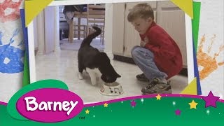 🐱 Barney  Vets Full Episode [upl. by Fulbright420]