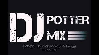 Catorce – Rauw Alejandro amp Mr Naisgai Extended DJ Potter Mix [upl. by Ahsimrac]