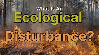 What Is An Ecological Disturbance [upl. by Patricio]