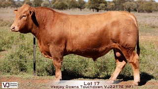 Lot 17 Veejay Downs Touchdown VJ22T7E RF [upl. by Farrica]