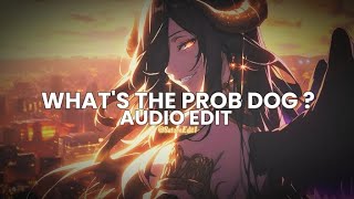 whats the prob dog Let me Think About It edit audio [upl. by Gewirtz605]