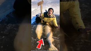 ये आदमी मछली को बर्फ जान बचाता है  ice fish  shortsvideo [upl. by Leunamne887]