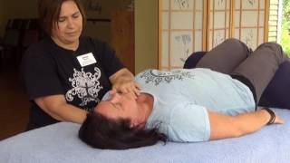 Holistic Health Cranial Sacral Therapy [upl. by Erlinna609]