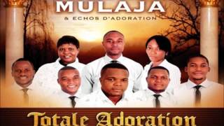 Zua Nkembo Franck Mulaja et Echos dadoration  Worship Fever Channel [upl. by Esemaj]