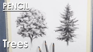 How to Draw Trees  Sketching techniques  Walnut and Pine Tree Pencil Drawing [upl. by Hardman]