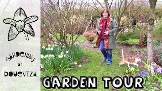 March Garden Tour  spring bulbs amp gardening chat [upl. by Ailes]