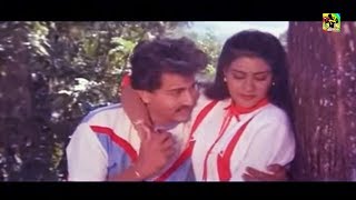 பாராமல் பார்த்த நெஞ்சம் HQ  Paaramal Paartha Nenjam Songs  Ilayaraja Hits  Mano amp Chithra Songs [upl. by Ynots]