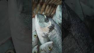 SMELL OF FISH CHUTTU VIRAL [upl. by Adnuhs]