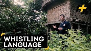 Indigenous Whistle Language In Mexico [upl. by Airamat587]