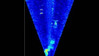 2D Imaging Sonar Imagery of a Diver Swimming Away from Sonar [upl. by Gretel]