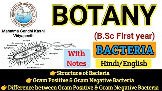 BSC First Year Botany  Botany First PaperStructure of BacteriaGram Ve amp Gram Ve Bacteria [upl. by Wiggins]