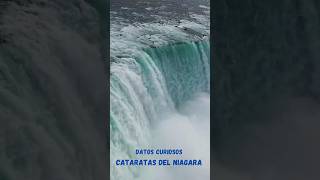 Cataratas del Niagara  Datos curiosos sobre estas majestuosas cataratas shorts short [upl. by Richart]