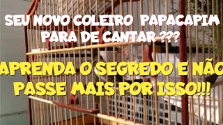 CONTRATEI COLEIRO E PAROU DE CANTAR RESOLVIDO ✓✓✓ [upl. by Lowery129]