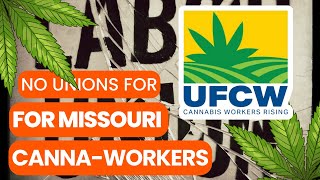 Breaking News Missouri Marijuana Company Challenges Worker Union Rights [upl. by O'Gowan]