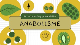 BIOLOGI Kelas 12 METABOLISME Anabolisme  Fotosintesis dan Kemosintesis [upl. by Carbrey]