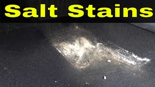 Removing Salt Stains On Car Carpet With Wet Vac ExtractorTutorial And Demonstration [upl. by Gingras]