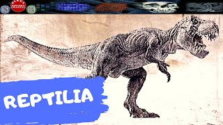 REPTILIA AMNIOTA PALING AWAL  DIRGA BIOLOGY CHANNEL [upl. by Shaver]