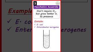 Obligate Aerobe amp Anaerobe  Facultative Anaerobe  Aerotolerant Anaerobe Microaerophiles  shorts [upl. by Oigufer440]