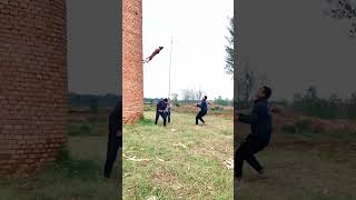 Belgian malinois jump training smartdogs [upl. by Masera]