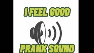 I FEEL GOOD PRANK SOUND🤣🤣SO GOOD [upl. by Eikram]