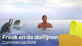 Freek Vonk en de dolfijnen  Reaal commercial 2018 [upl. by Ditter]