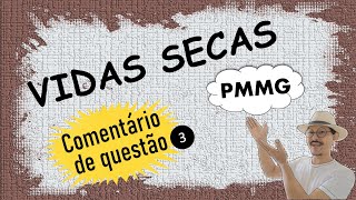 Vidas secas de Graciliano Ramos  Comentário de Questão Parte 3 [upl. by Ehcar]