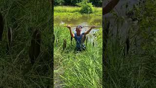 Amazing Fishing Great guys automatic fishing rod caught a lot of fish Fishing Video fishing [upl. by Ithnan720]