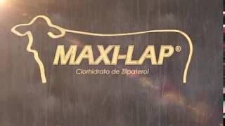 MAXILAP® Clorhidrato de Zilpaterol [upl. by Eyt]