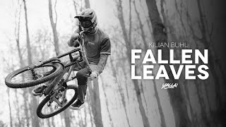 Fallen Leaves  Kilian Buhl [upl. by Natek]