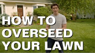 How to Overseed a Lawn [upl. by Oiciruam]