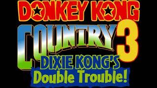 Wrinkly 64  Donkey Kong Country 3 Dixie Kongs Double Trouble OST [upl. by Allyson]