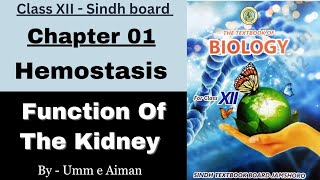 Function of the Kidney  Chapter Homeostasis Sindh board By Umm e Aiman [upl. by Arraek816]