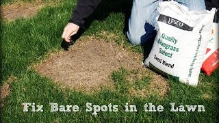 How To Seed And Repair Bare Spots in the Lawn [upl. by Nnyliram]