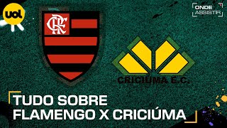 FLAMENGO X CRICIÚMA ONDE ASSISTIR TRANSMISSÃO AO VIVO E HORÁRIO PELO BRASILEIRÃO [upl. by Meggie]