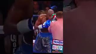 Canelo Alvarez vs Floyd Mayweather boxing shorts [upl. by Aleksandr]