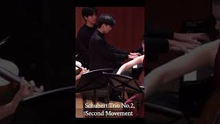 An excerpt of Schuberts ghostly second movement Trio No2 [upl. by Eidnil319]