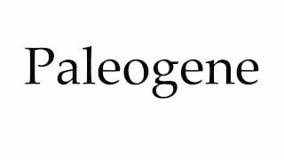 How to Pronounce Paleogene [upl. by Hebel]